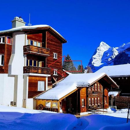 Chalet Anemone 2 Apartman Mürren Kültér fotó