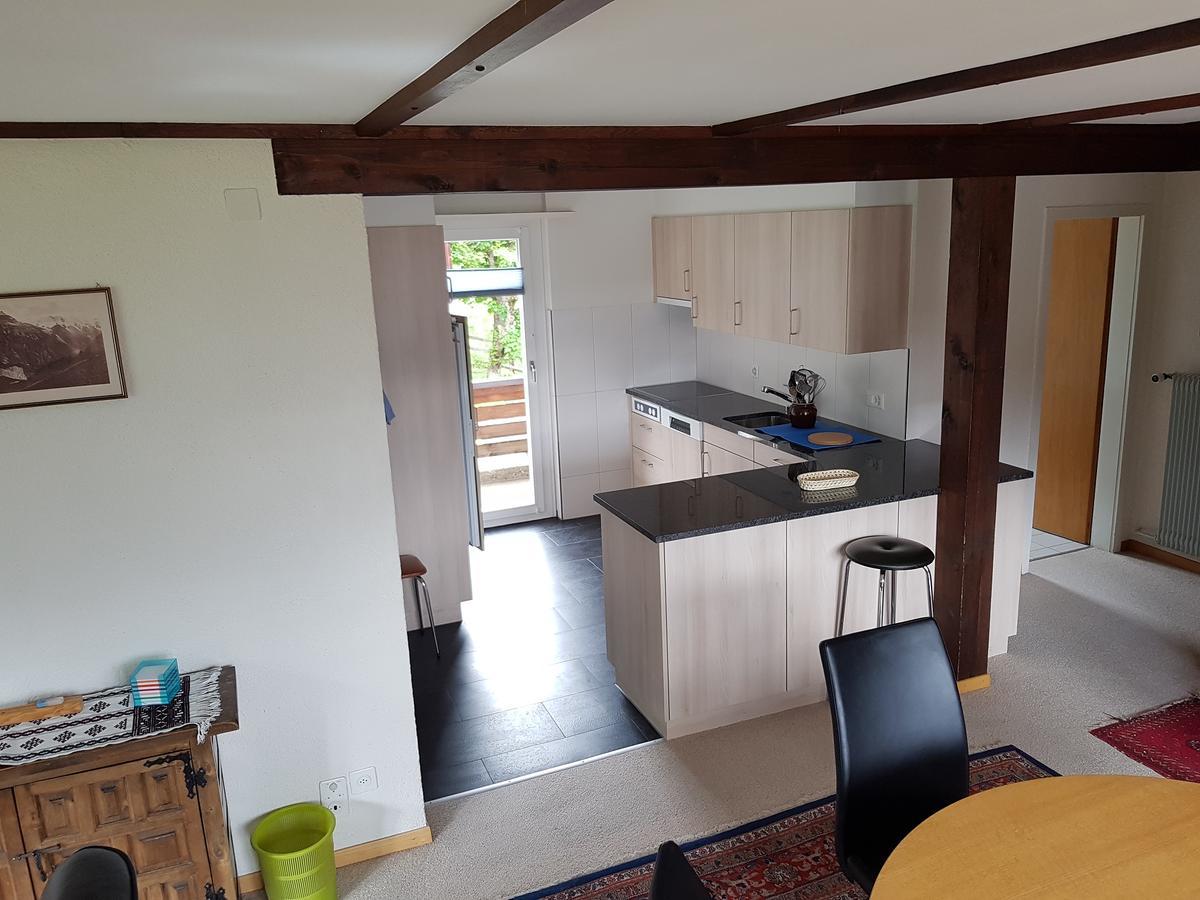 Chalet Anemone 2 Apartman Mürren Kültér fotó