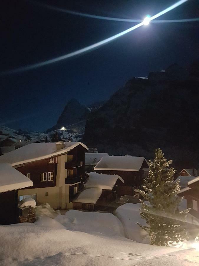 Chalet Anemone 2 Apartman Mürren Kültér fotó