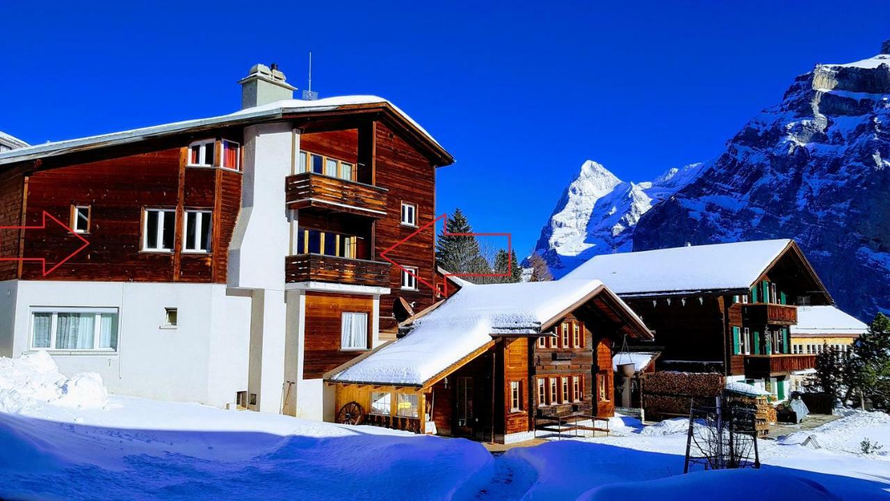 Chalet Anemone 2 Apartman Mürren Kültér fotó